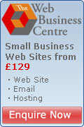 Small Business Web Sites